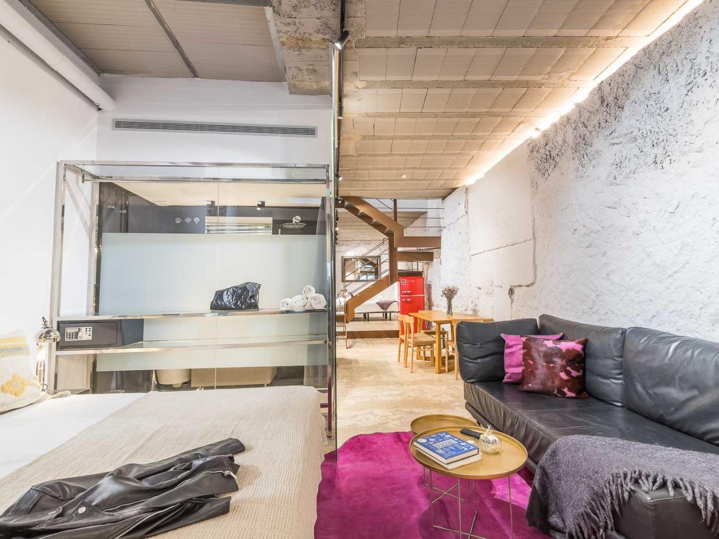 My Space Barcelona Industrial Loft z prywatnym tarasem w Sant Gervasi dla 5 osób - My Space Barcelona Mieszkanie